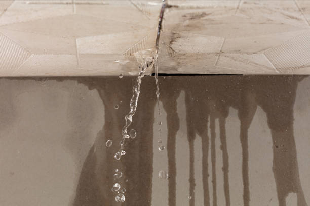 Professional Sewage Cleanup technician working in Elburn, IL